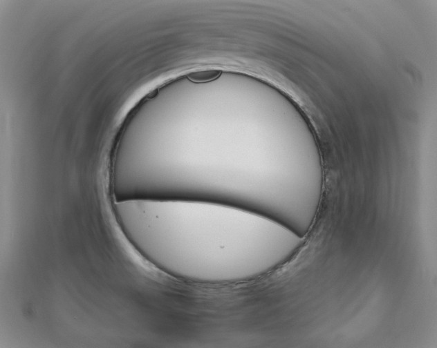 X0000113151523200909040921