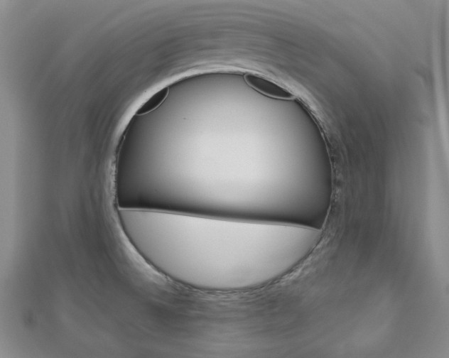 X0000113151524200909040921