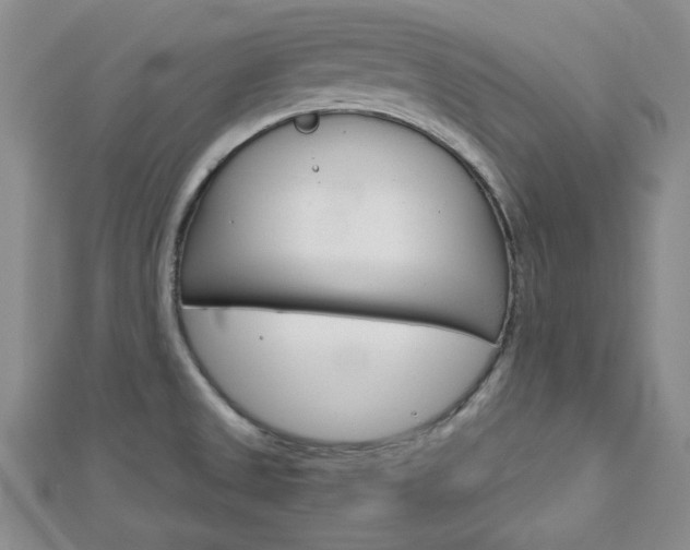 X0000113151525200909040921