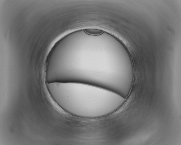 X0000113151526200909040921