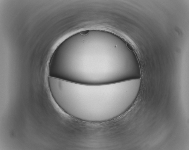 X0000113151528200909040921