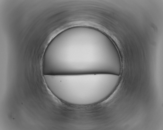 X0000113151529200909040921