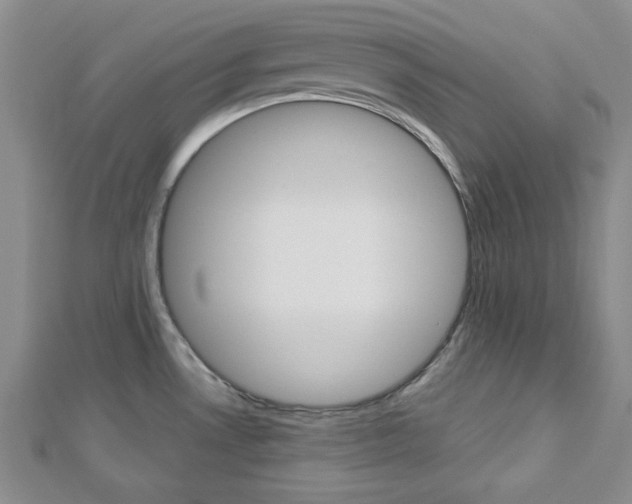 X0000113151530200909040921