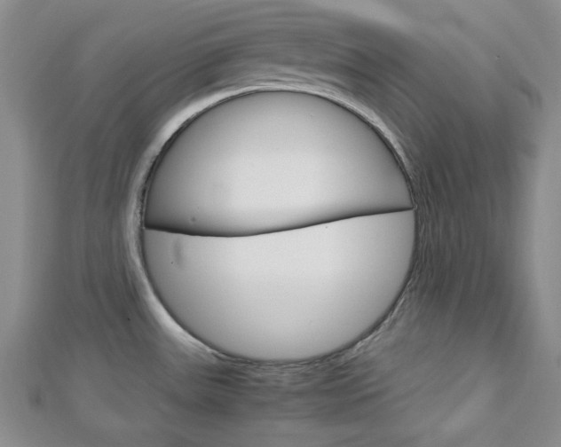 X0000113151531200909040921