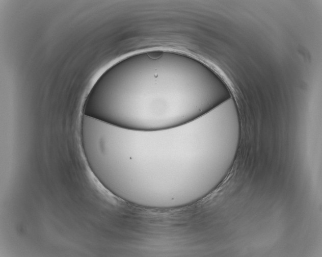 X0000113151532200909040921