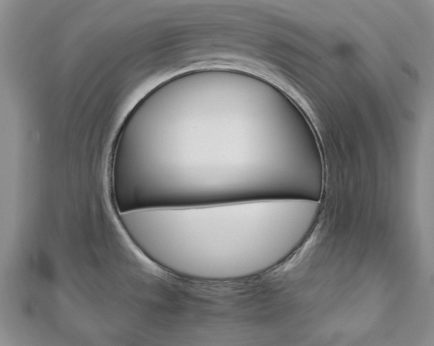 X0000113151533200909040921