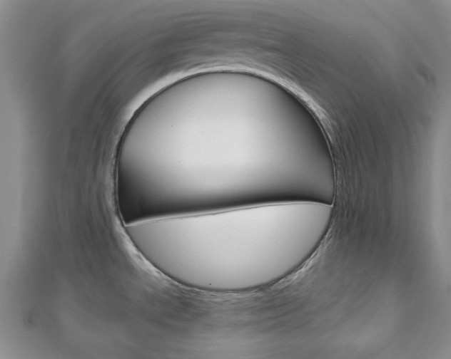 X0000113151534200909040921