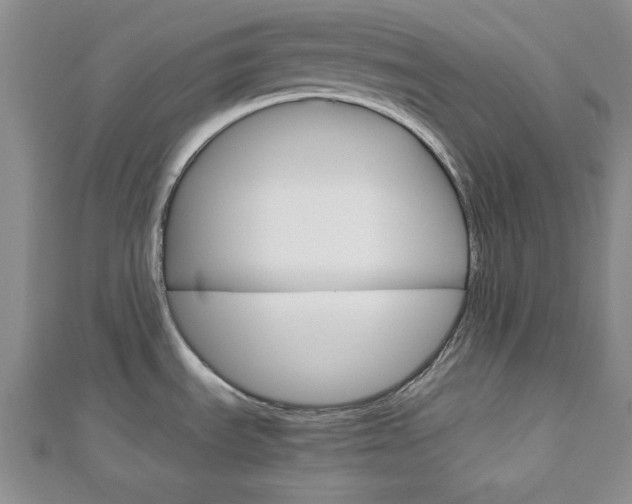 X0000113151535200909040921