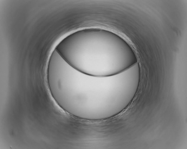 X0000113151536200909040921