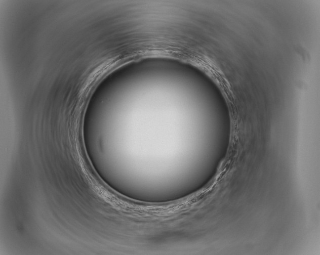 X0000113150001200909041244