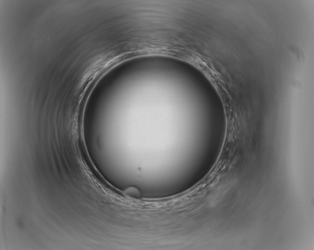 X0000113150002200909041244