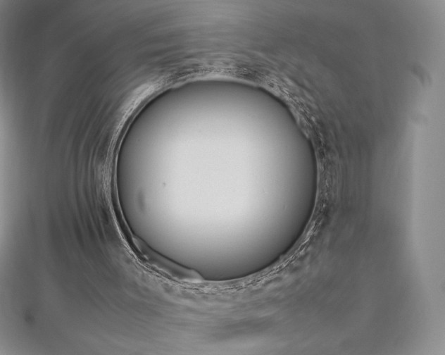 X0000113150003200909041244