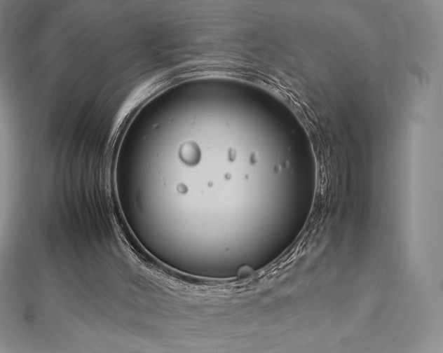 X0000113150004200909041244