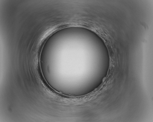 X0000113150005200909041244