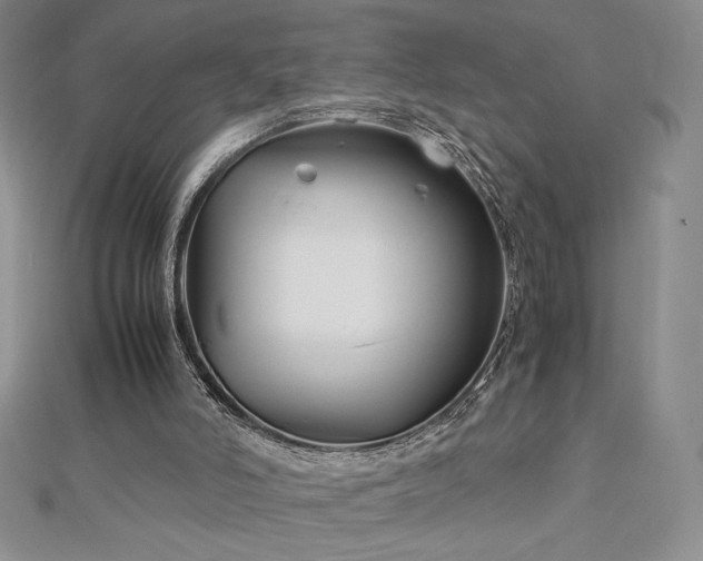 X0000113150006200909041244