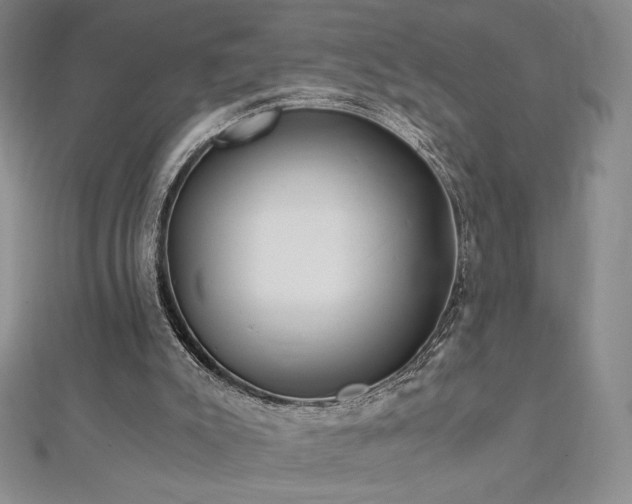 X0000113150007200909041243