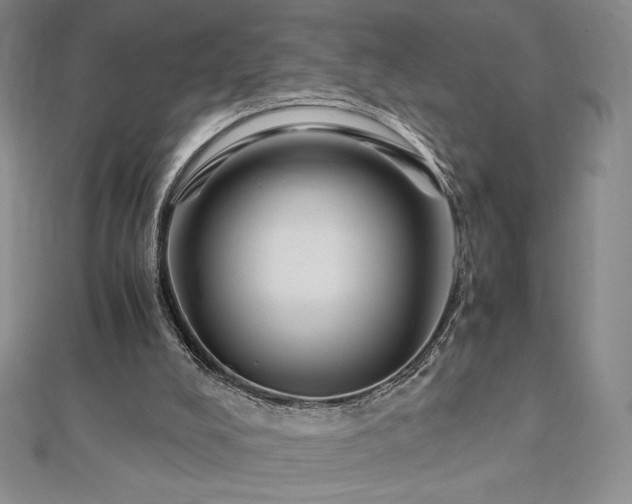 X0000113150008200909041243