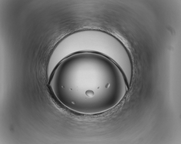 X0000113150009200909041243