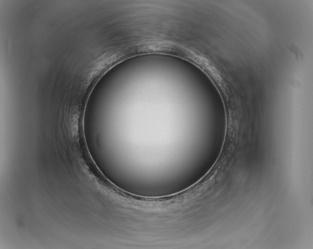 X0000113150010200909041243