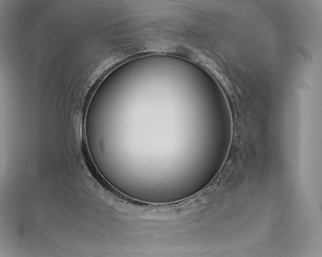 X0000113150011200909041243