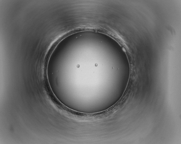 X0000113150012200909041243