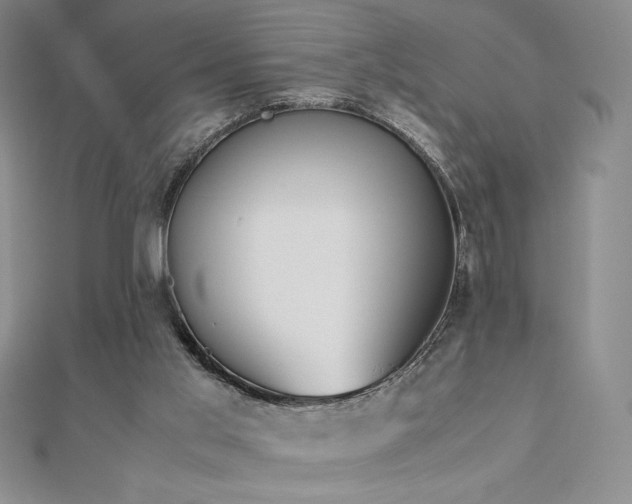 X0000113150013200909041243