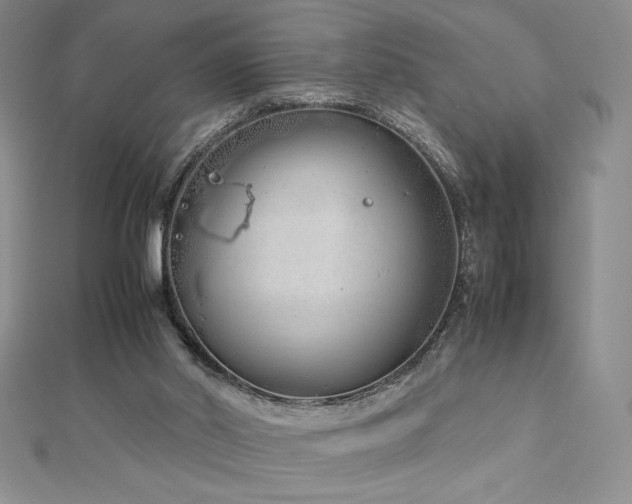 X0000113150014200909041243