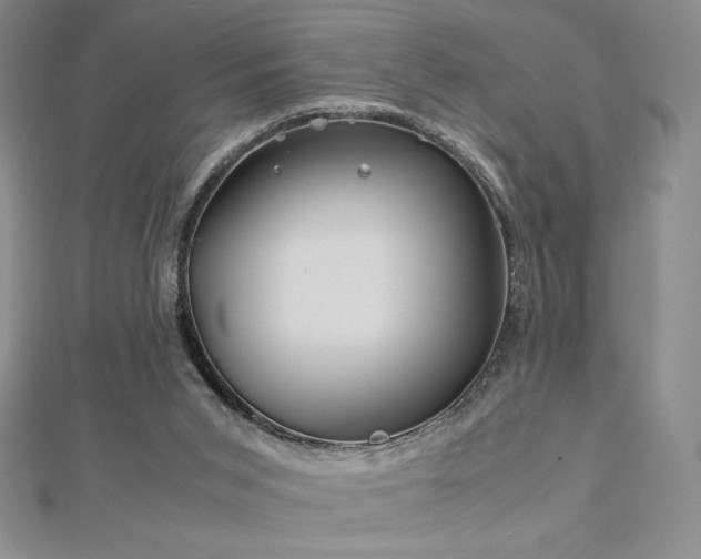 X0000113150015200909041243