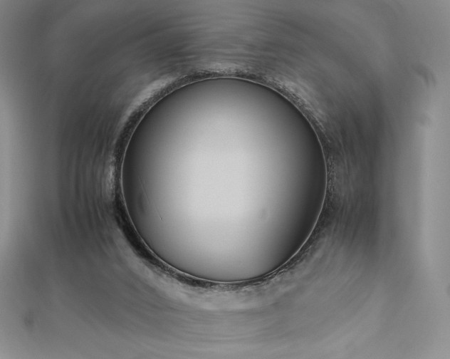 X0000113150016200909041243