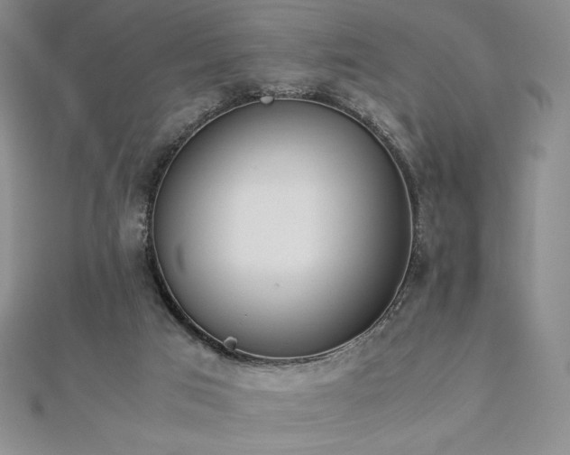 X0000113150017200909041243