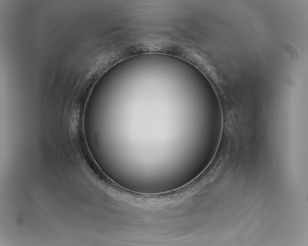 X0000113150018200909041243