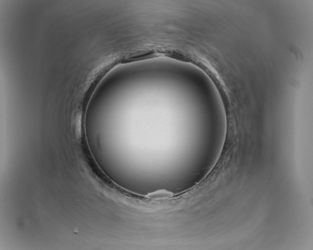 X0000113150019200909041243