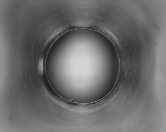 X0000113150020200909041243