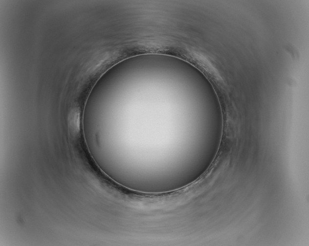 X0000113150021200909041243