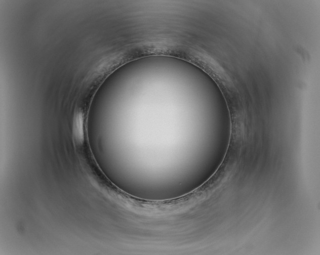 X0000113150022200909041243