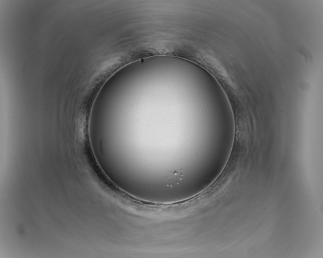 X0000113150023200909041243