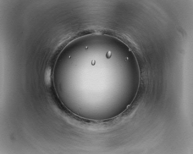 X0000113150024200909041243