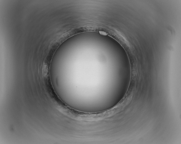 X0000113150025200909041243