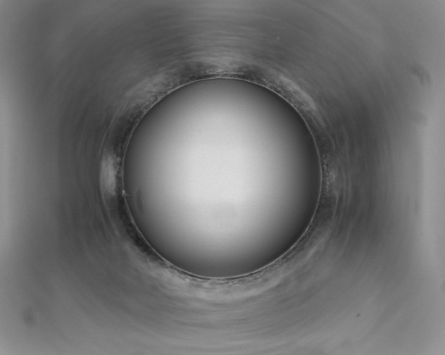 X0000113150026200909041243