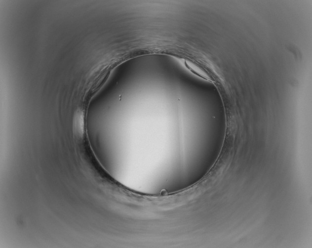 X0000113150027200909041243