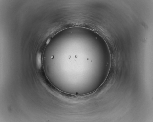 X0000113150028200909041243