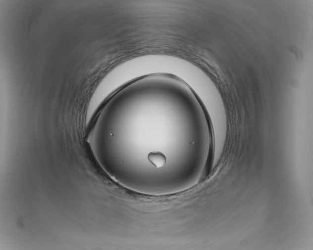 X0000113150029200909041243