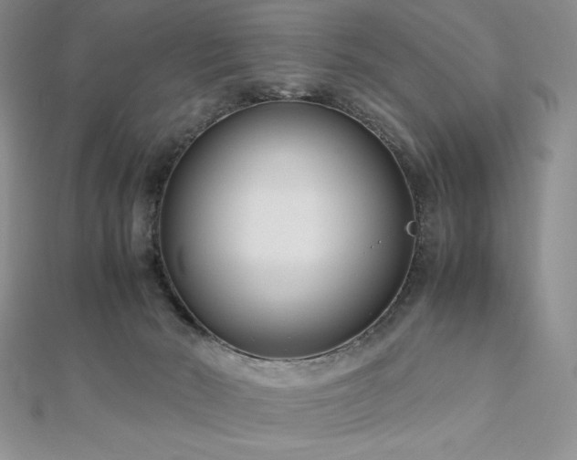 X0000113150030200909041243