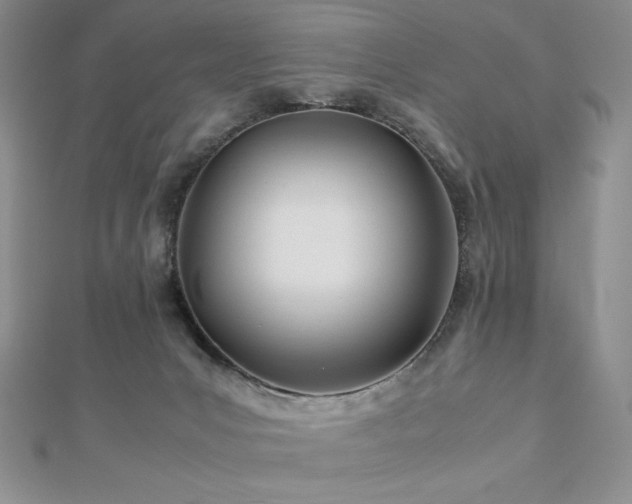 X0000113150031200909041243