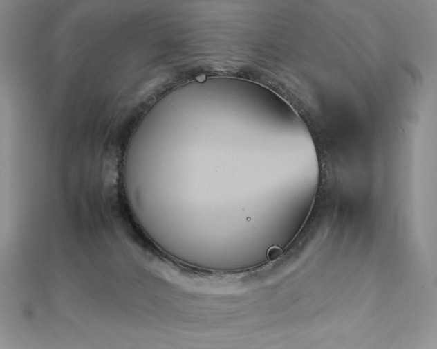 X0000113150032200909041243