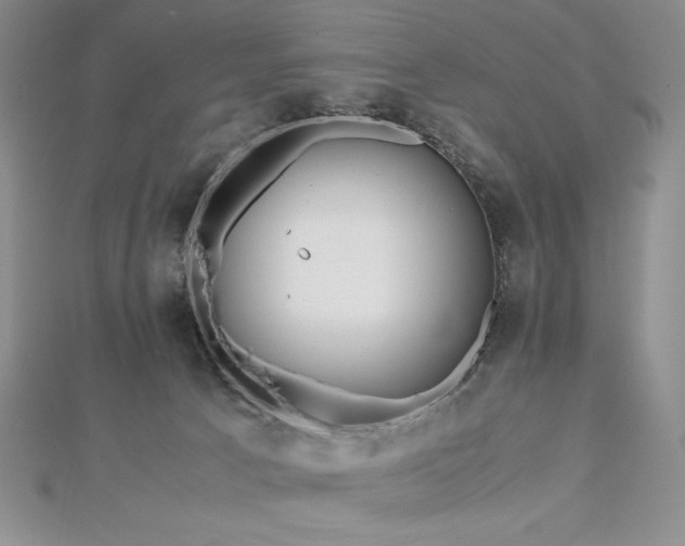 X0000113150033200909041243