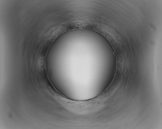 X0000113150034200909041243