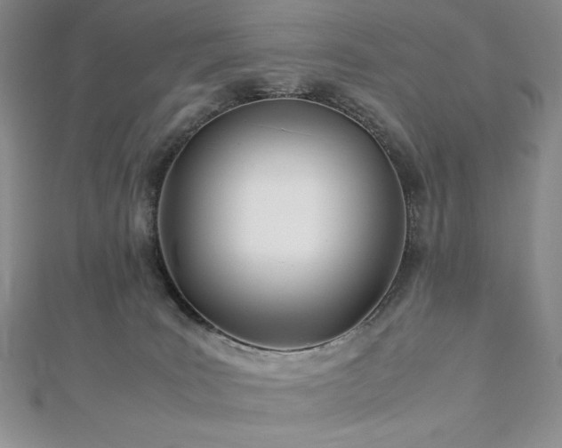 X0000113150035200909041243