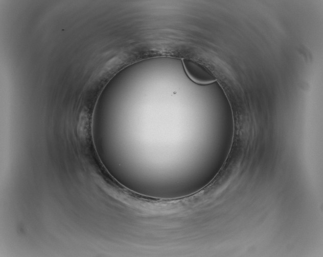 X0000113150036200909041243