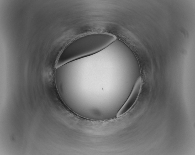 X0000113150037200909041243